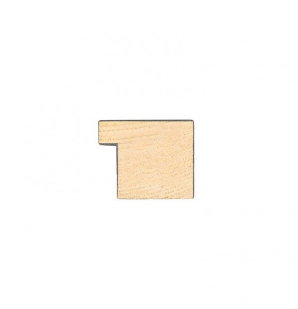 Frame