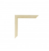 Frame
